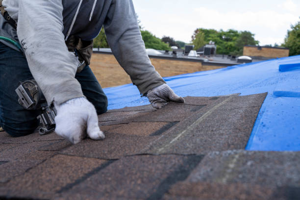 Best Roof Waterproofing Services  in Mount Cob, PA